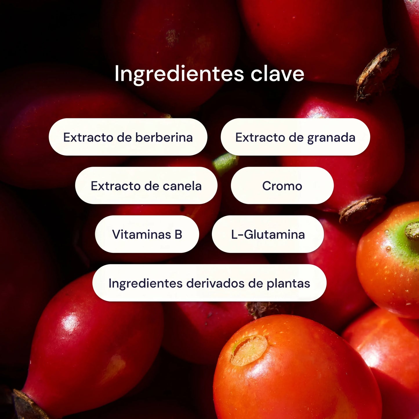 Parches Metabólicos