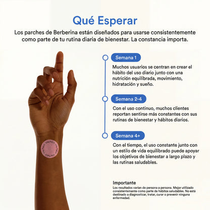 Parches Metabólicos