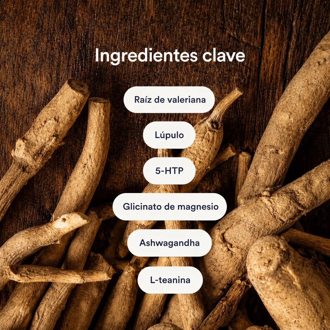 Parches de Valeriana
