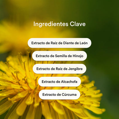 Parches Desinflamantes